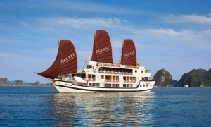 Stellar Cruise