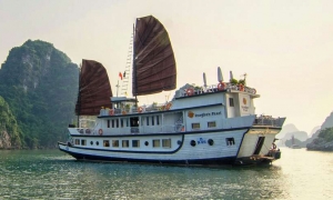 Dragon Pearl Cruise