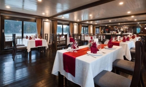 Stellar Cruise
