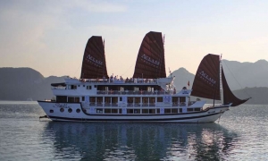 Stellar Cruise