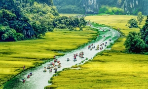 Relaxing package Whole Viet Nam 14 days - Noth - Central - Phu Quoc island - South