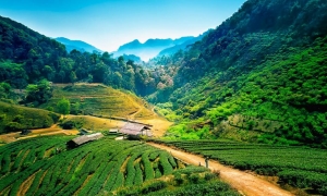 Highlights of Vietnam, Cambodia & Thailand 3 Weeks