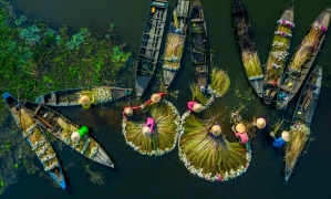 Vietnam Explorer: 10 Days Through North, Central & South
